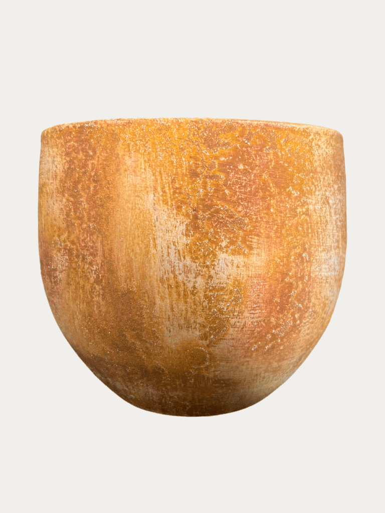 Mibú